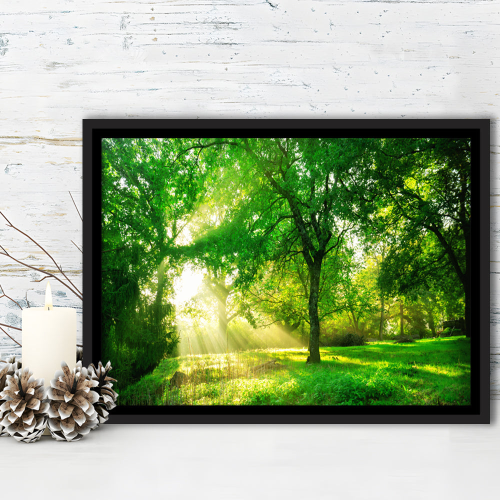 Green Forest Background With Morning Sunrise In Spring Season, Framed Cavas Print, Floating Frame