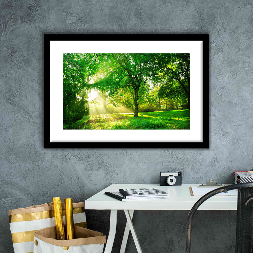 Green Forest Background With Morning Sunrise In Spring Season, Framed Art Print White Border