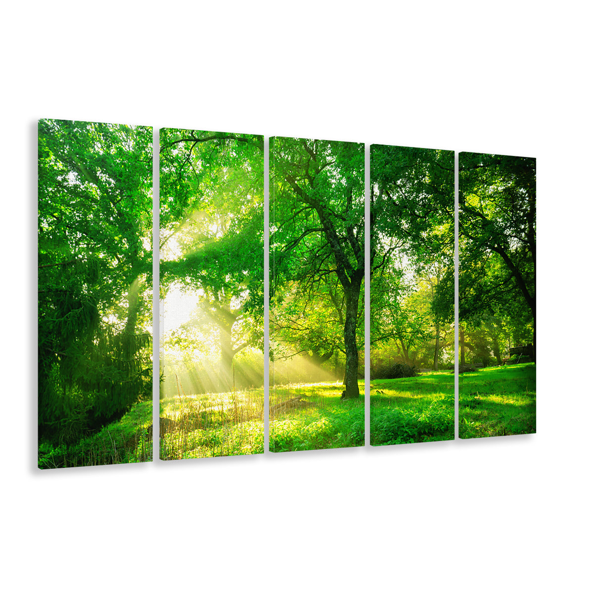 Green forest background with morning sunrise in spring season, 5 Piece B Extra Large Cavas Print Wall Art Decor