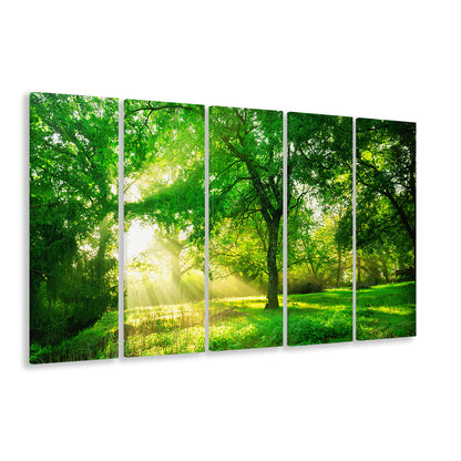 Green forest background with morning sunrise in spring season, 5 Piece B Extra Large Cavas Print Wall Art Decor