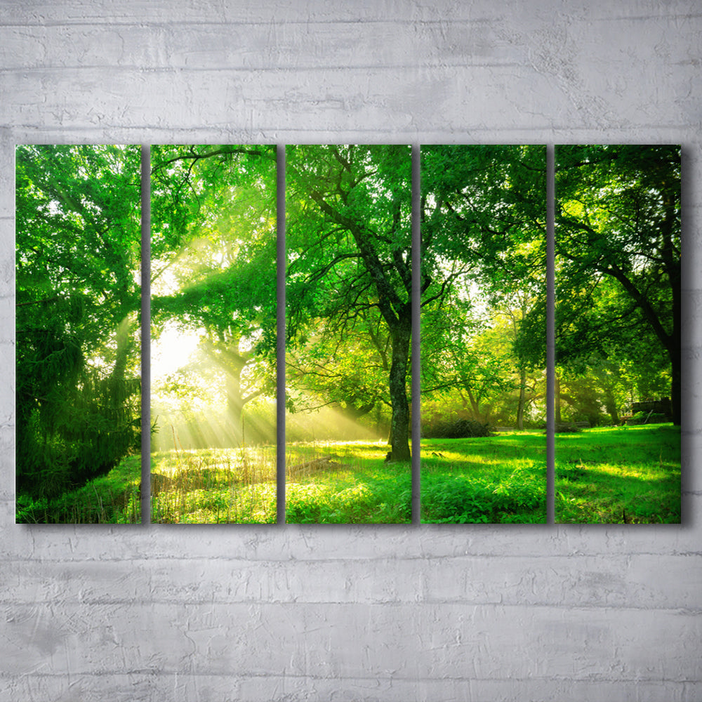 Green forest background with morning sunrise in spring season, 5 Piece B Extra Large Cavas Print Wall Art Decor