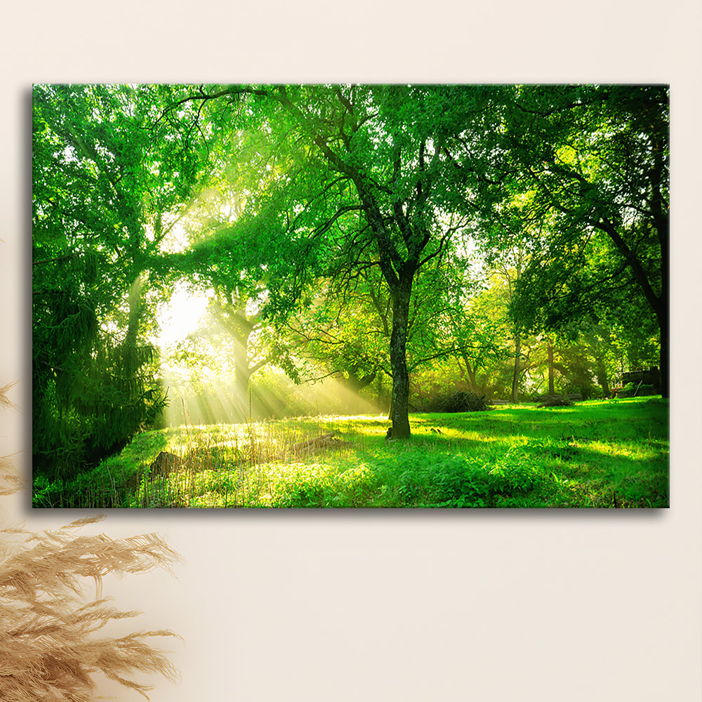 Green forest background with morning sunrise in spring season, Cavas Print Wall Art Hom Decor