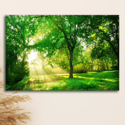 Green forest background with morning sunrise in spring season, Cavas Print Wall Art Hom Decor
