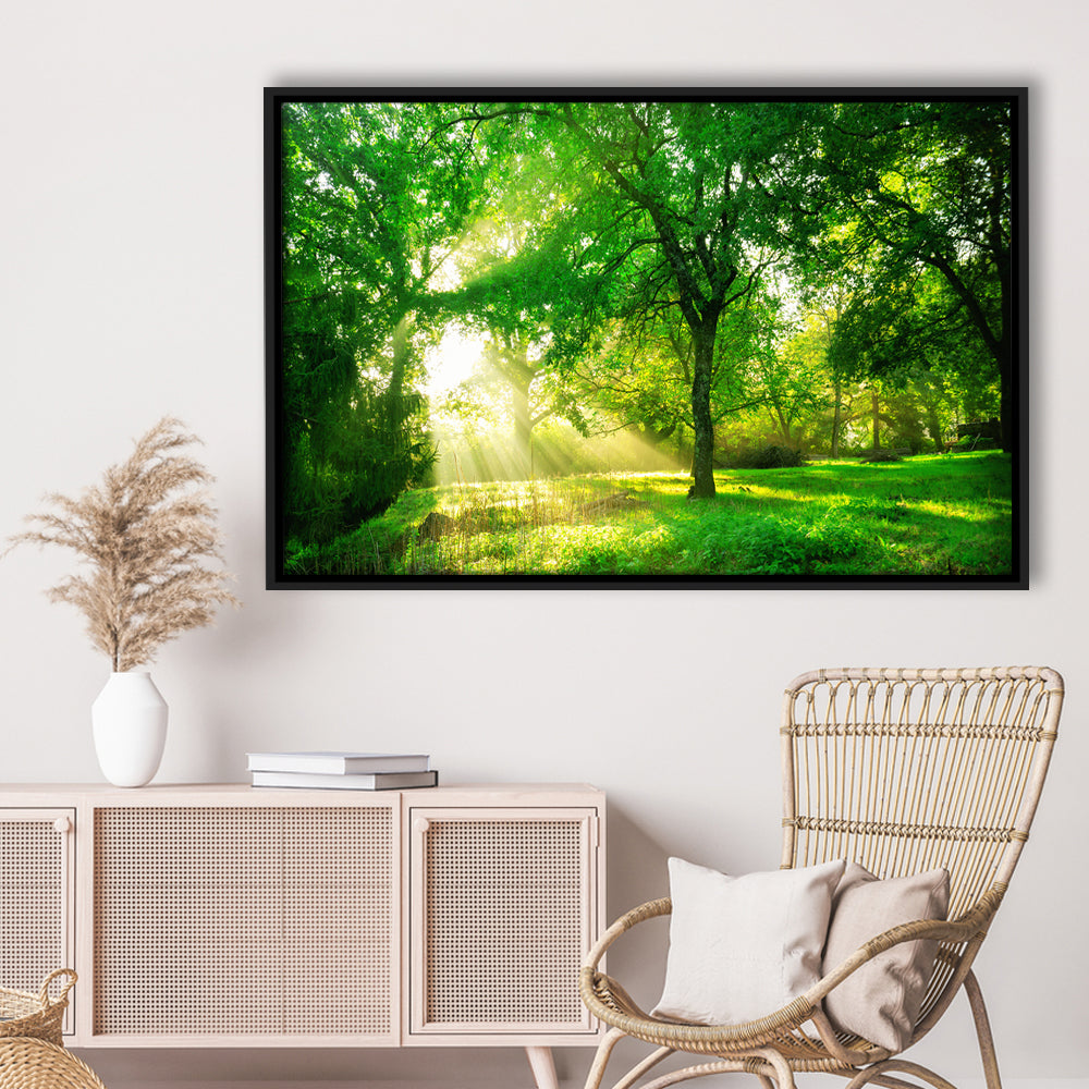 Green Forest Background With Morning Sunrise In Spring Season, Framed Cavas Print, Floating Frame