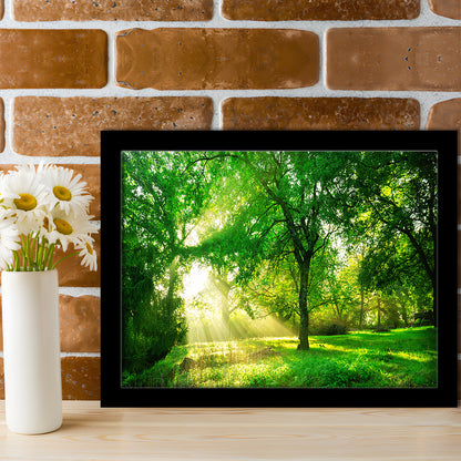 Green Forest Background With Morning Sunrise In Spring Season, Framed Art Print, Picture Framed
