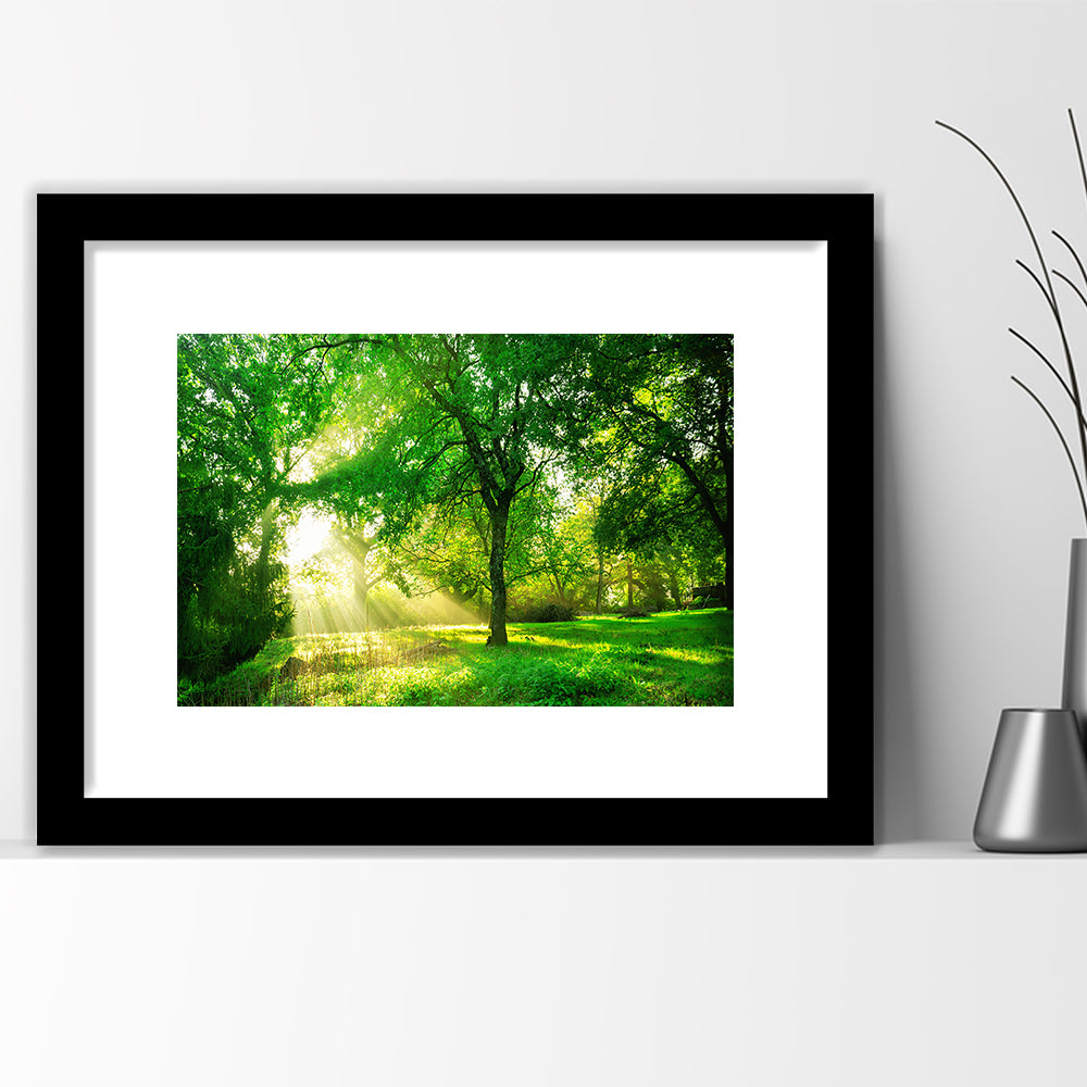 Green Forest Background With Morning Sunrise In Spring Season, Framed Art Print White Border