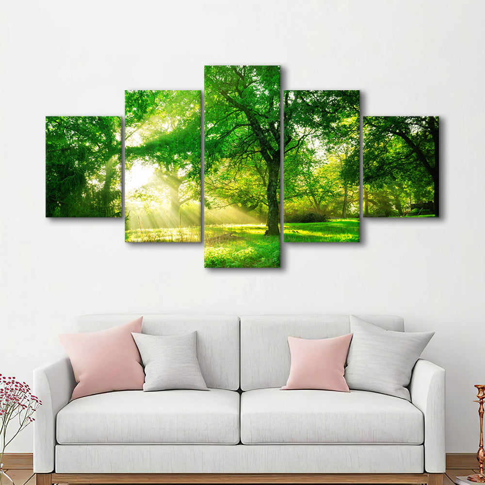 Green forest background with morning sunrise in spring season, 5 Piece Large Cavas Print Wall Art