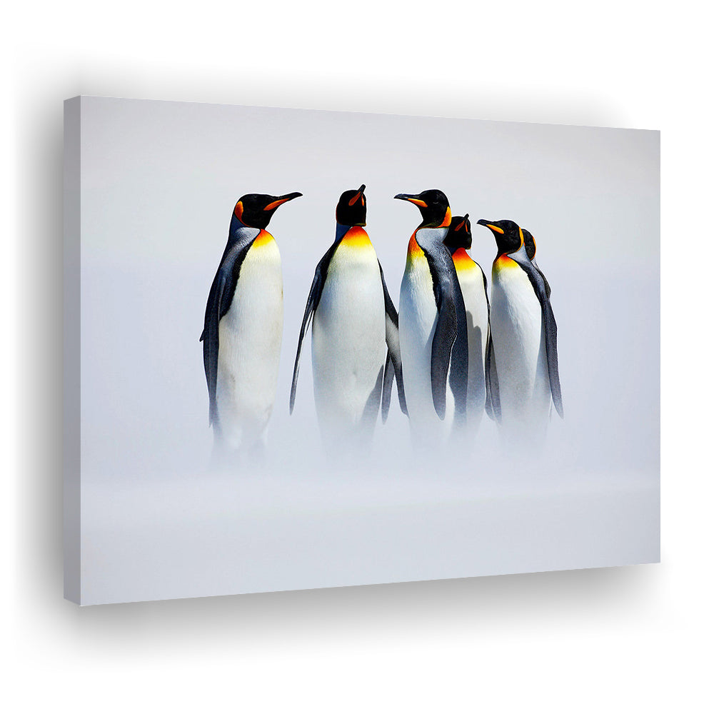 Group of Six King Penguins Wall Art, Falkland Islands Wall Decor, Antarctica Large Canvas, Cavas Print Wall Art Hom Decor