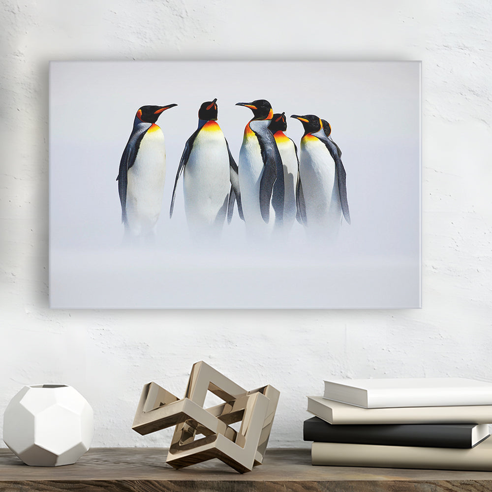 Group of Six King Penguins Wall Art, Falkland Islands Wall Decor, Antarctica Large Canvas, Cavas Print Wall Art Hom Decor