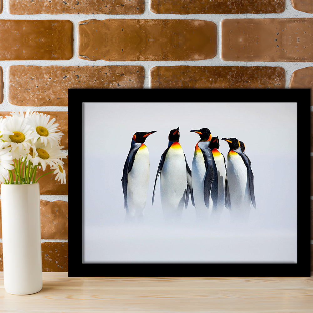 Group Of Six King Penguins Wall Art, Falkland Islands Wall Decor, Antarctica Large Art, Framed Art Print, Picture Framed