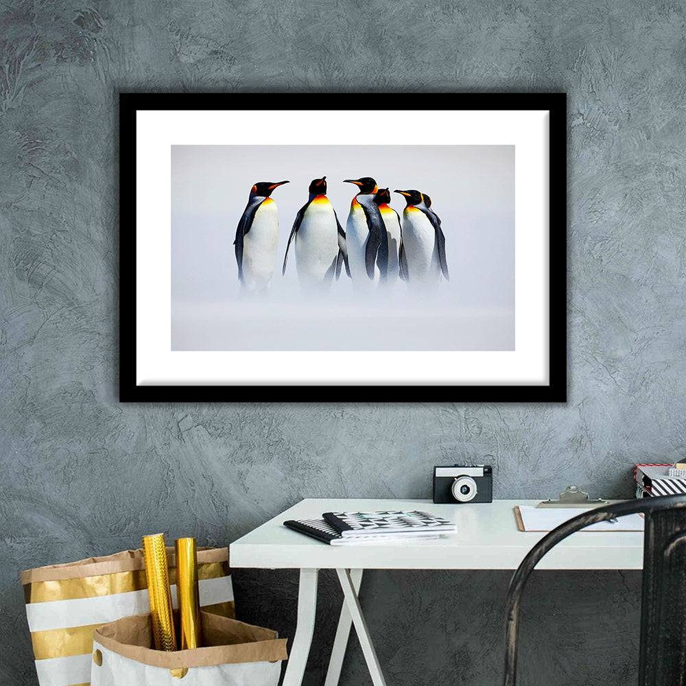 Group Of Six King Penguins Wall Art, Falkland Islands Wall Decor, Antarctica Large, Framed Art Print White Border