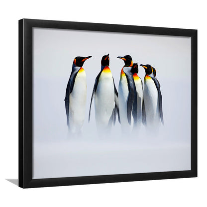 Group Of Six King Penguins Wall Art, Falkland Islands Wall Decor, Antarctica Large Art, Framed Art Print, Picture Framed