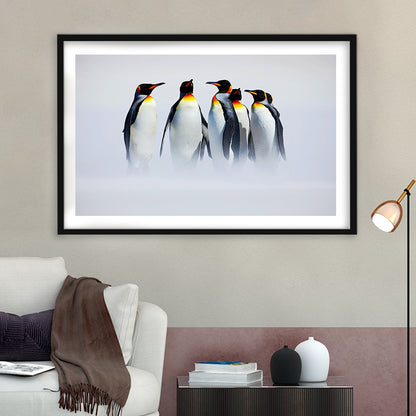 Group Of Six King Penguins Wall Art, Falkland Islands Wall Decor, Antarctica Large, Framed Art Print White Border