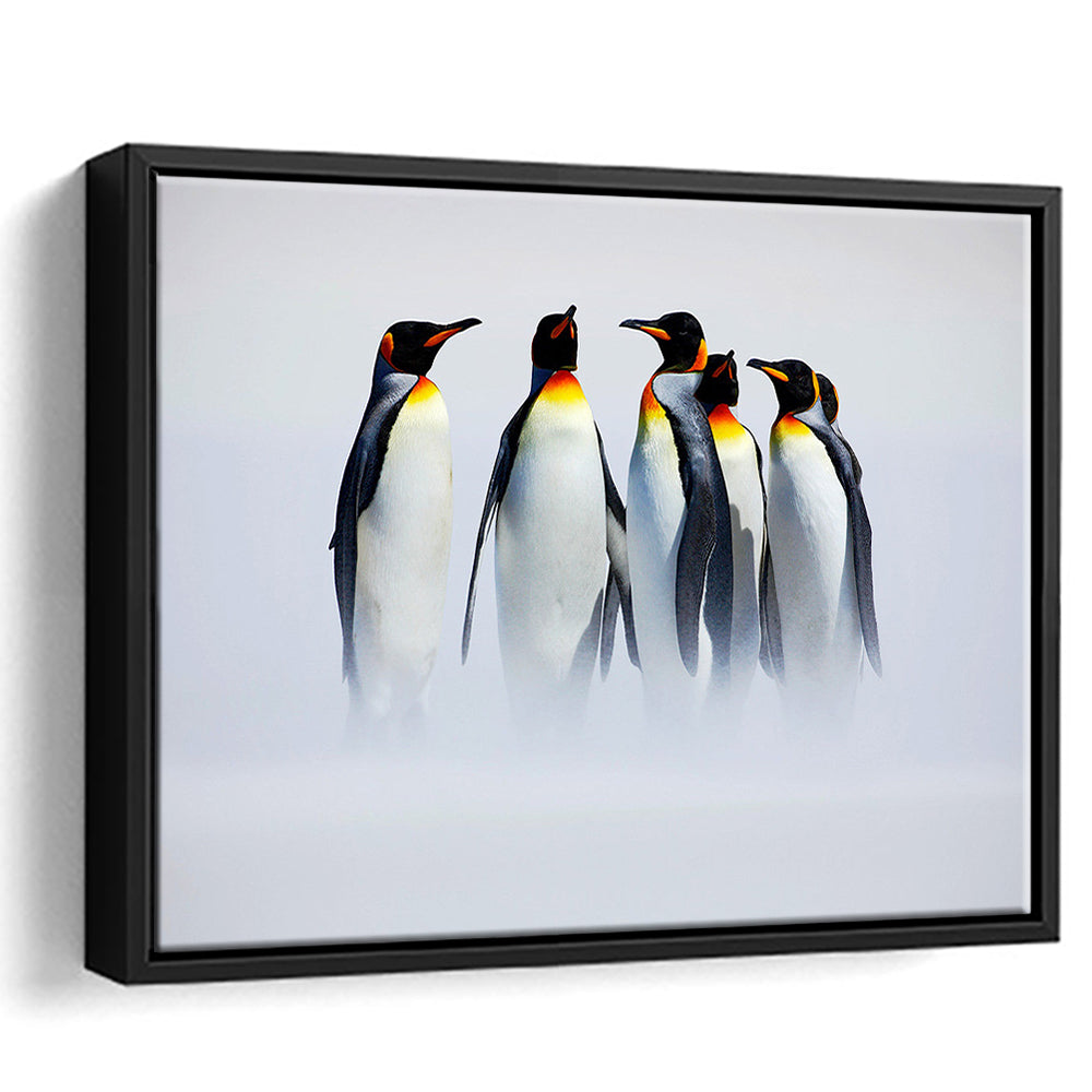 Group Of Six King Penguins Wall Art, Falkland Islands Wall Decor, Framed Cavas Print, Floating Frame