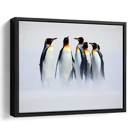 Group Of Six King Penguins Wall Art, Falkland Islands Wall Decor, Framed Cavas Print, Floating Frame