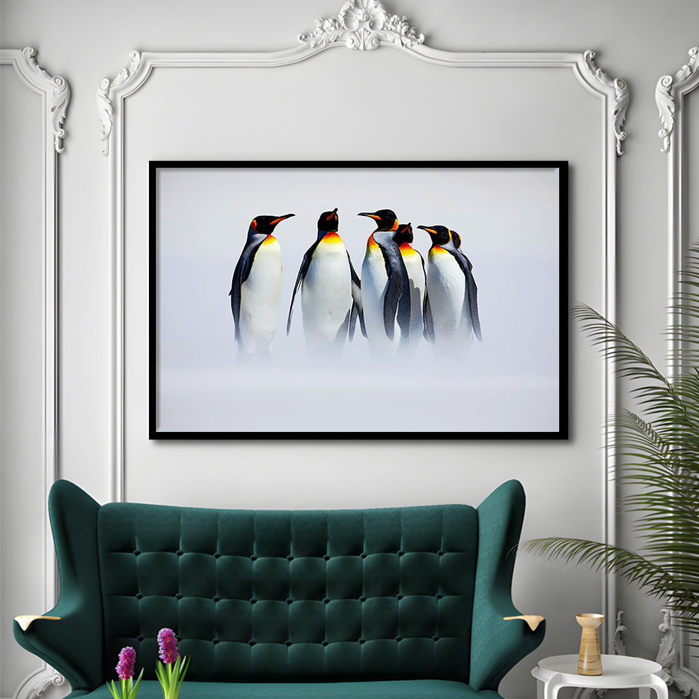 Group Of Six King Penguins Wall Art, Falkland Islands Wall Decor, Antarctica Large Art, Framed Art Print, Picture Framed