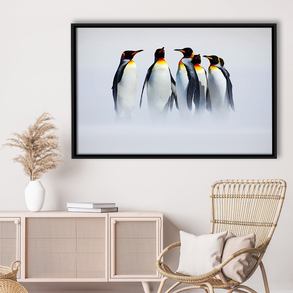 Group Of Six King Penguins Wall Art, Falkland Islands Wall Decor, Framed Cavas Print, Floating Frame