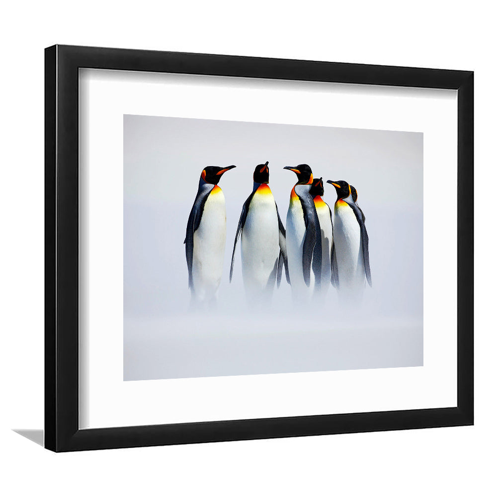 Group Of Six King Penguins Wall Art, Falkland Islands Wall Decor, Antarctica Large, Framed Art Print White Border