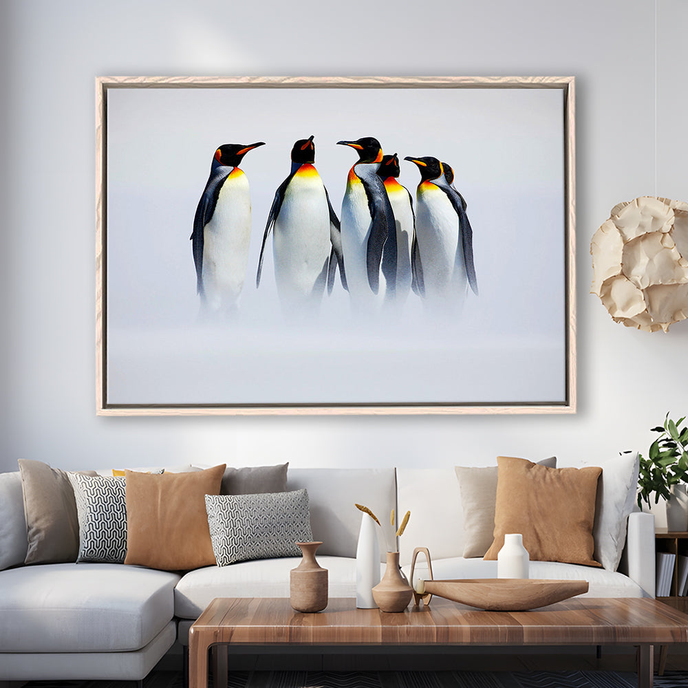 Group Of Six King Penguins Wall Art, Falkland Islands Wall Decor, Framed Cavas Print, Floating Frame