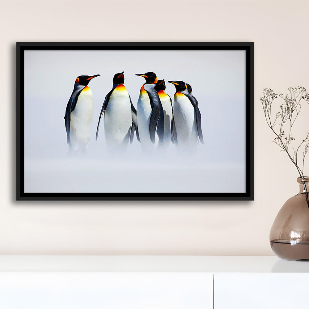 Group Of Six King Penguins Wall Art, Falkland Islands Wall Decor, Framed Cavas Print, Floating Frame