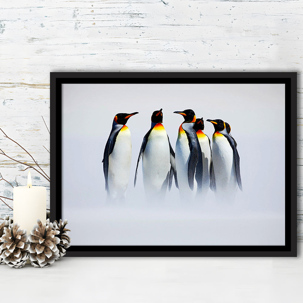 Group Of Six King Penguins Wall Art, Falkland Islands Wall Decor, Framed Cavas Print, Floating Frame