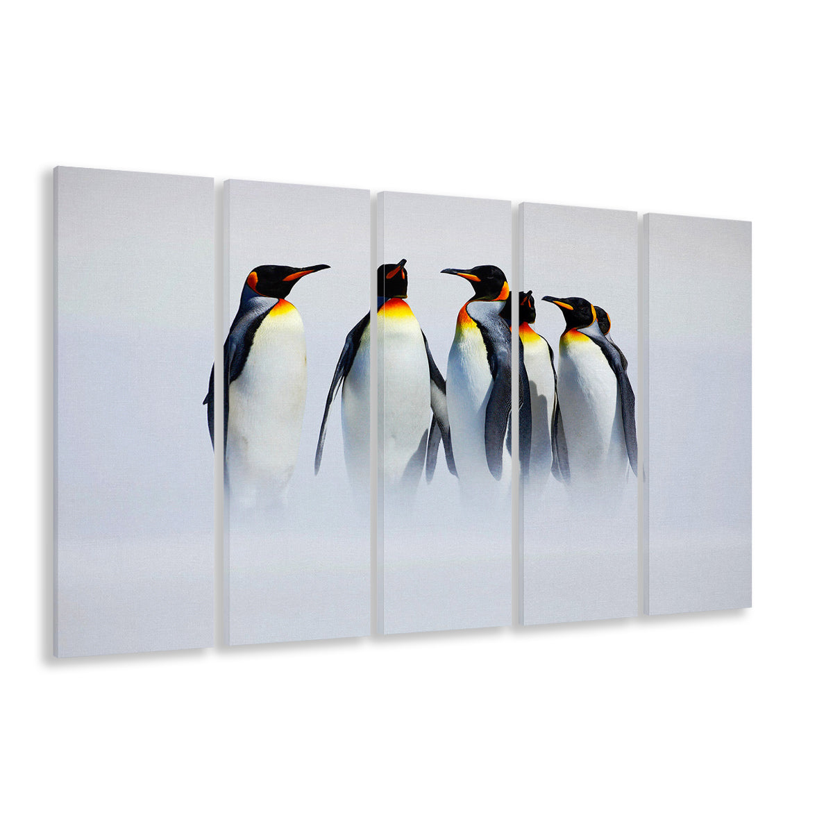 Group of Six King Penguins Wall Art, Falkland Islands Wall Decor, 5 Piece B Extra Large Cavas Print Wall Art Decor