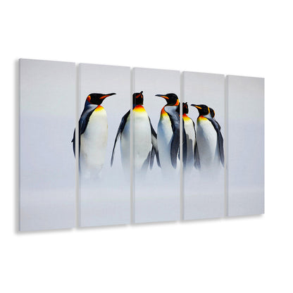 Group of Six King Penguins Wall Art, Falkland Islands Wall Decor, 5 Piece B Extra Large Cavas Print Wall Art Decor