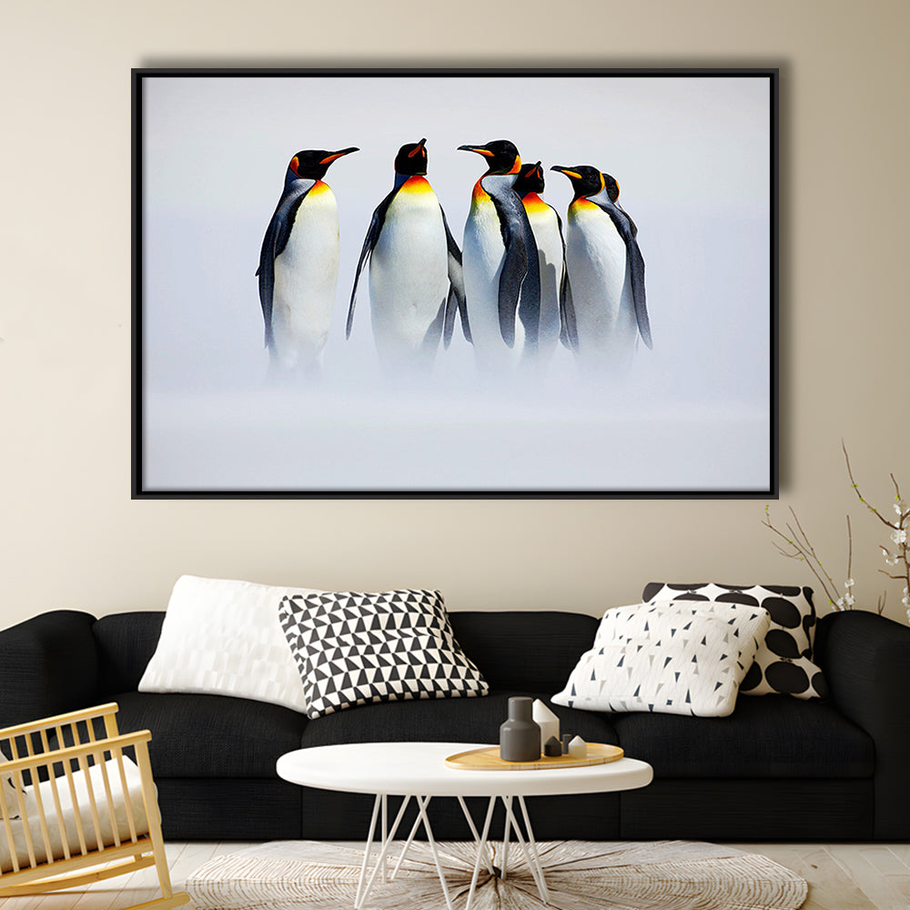 Group Of Six King Penguins Wall Art, Falkland Islands Wall Decor, Framed Cavas Print, Floating Frame