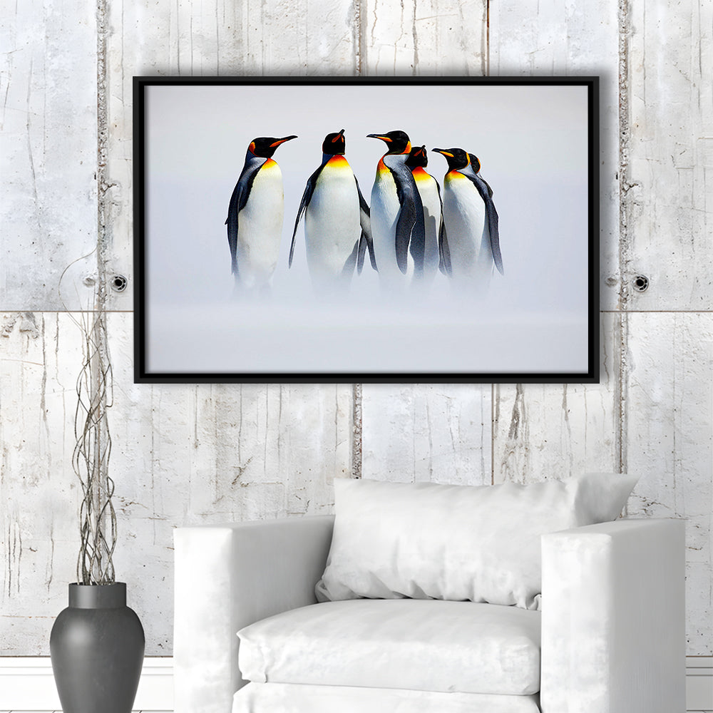 Group Of Six King Penguins Wall Art, Falkland Islands Wall Decor, Framed Cavas Print, Floating Frame