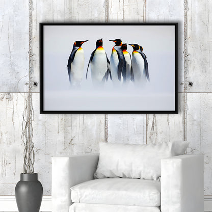 Group Of Six King Penguins Wall Art, Falkland Islands Wall Decor, Framed Cavas Print, Floating Frame