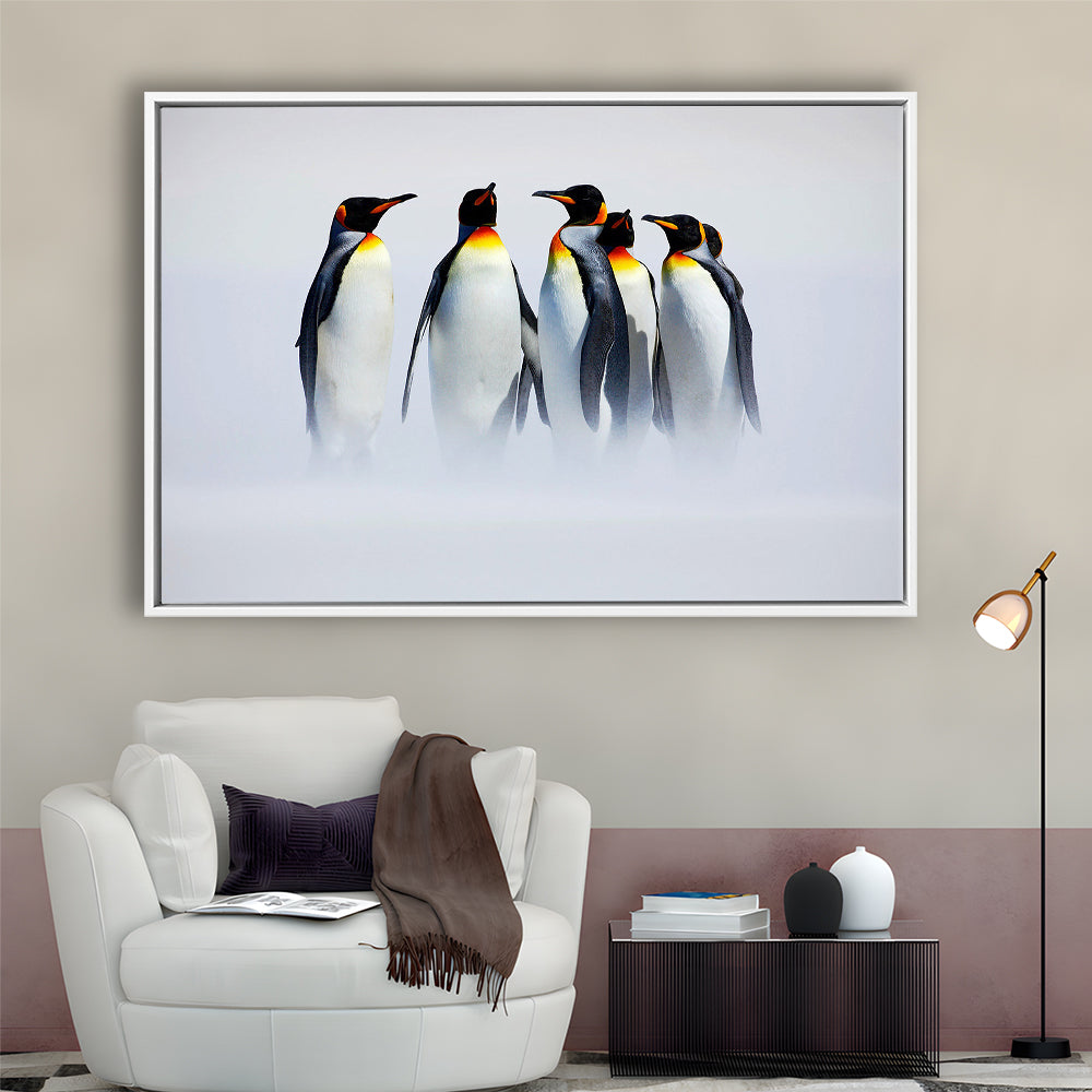 Group Of Six King Penguins Wall Art, Falkland Islands Wall Decor, Framed Cavas Print, Floating Frame