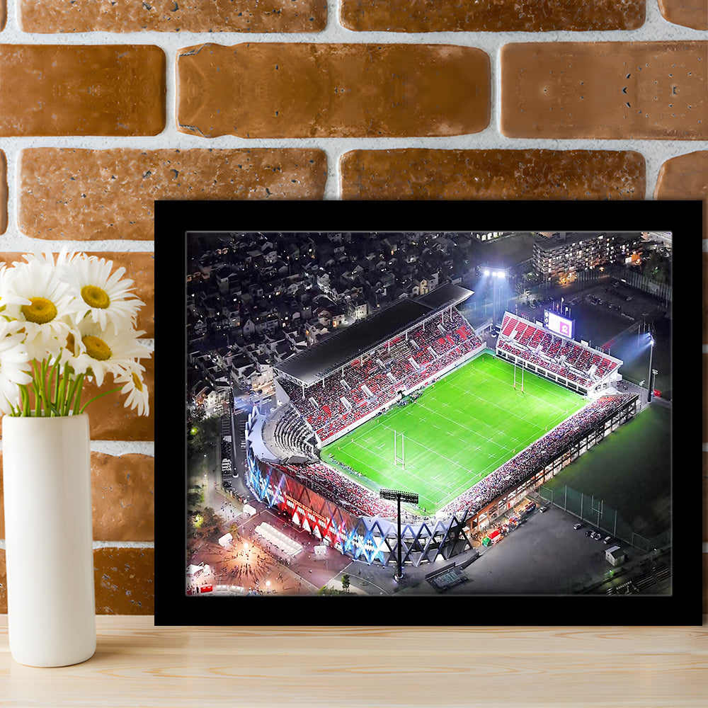 Hanazono Rugby Stadium, Stadium Canvas, Sport Art, Gift for him, Framed Art Print Wall Decor, Picture Framed