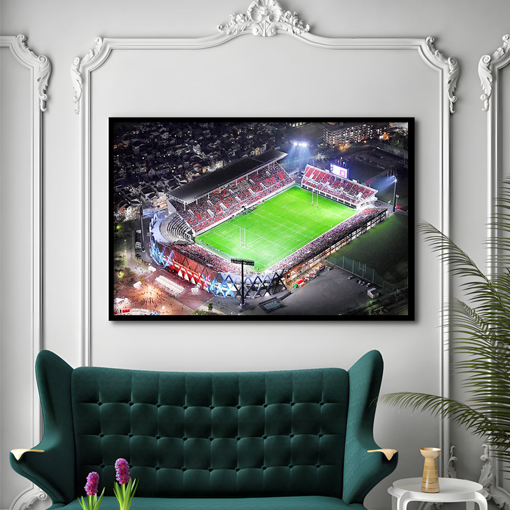 Hanazono Rugby Stadium, Stadium Canvas, Sport Art, Gift for him, Framed Art Print Wall Decor, Picture Framed