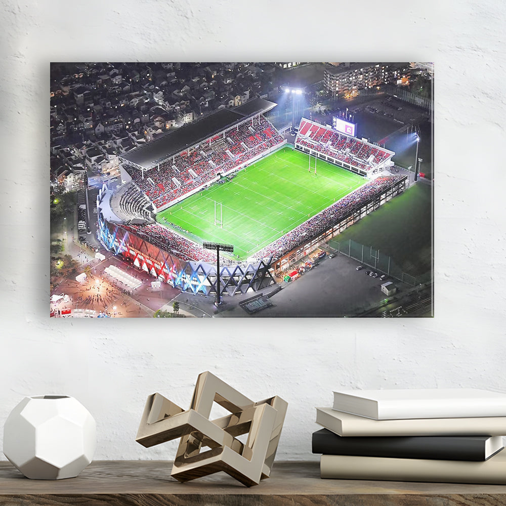 Hanazono Rugby Stadium, Stadium Canvas, Sport Art, Gift for him, Man Cave Decor, Art Print, Canvas Print Wall Art