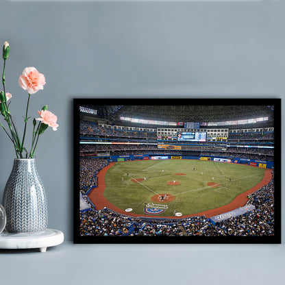 Hiram Bithorn Stadium, Stadium Canvas, Sport Art, Gift for him, Framed Art Print Wall Decor, Picture Framed