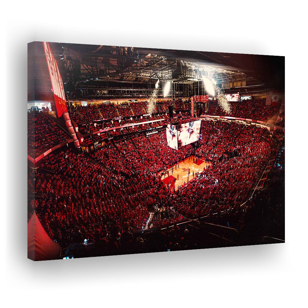 Houston Rockets, Stadium Canvas, Sport Art, Gift for him, Man Cave Decor, Art Print, Canvas Print Wall Art