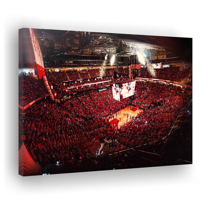 Houston Rockets, Stadium Canvas, Sport Art, Gift for him, Man Cave Decor, Art Print, Canvas Print Wall Art