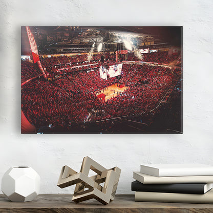 Houston Rockets, Stadium Canvas, Sport Art, Gift for him, Man Cave Decor, Art Print, Canvas Print Wall Art
