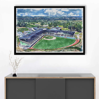 Howard J Lamade Painting Stadium Watercolor, Pennsylvania Baseball, Sport Gift Art, Framed Art Print Wall Decor