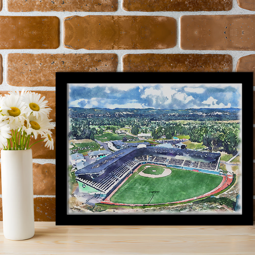 Howard J Lamade Painting Stadium Watercolor, Pennsylvania Baseball, Sport Gift Art, Framed Art Print Wall Decor
