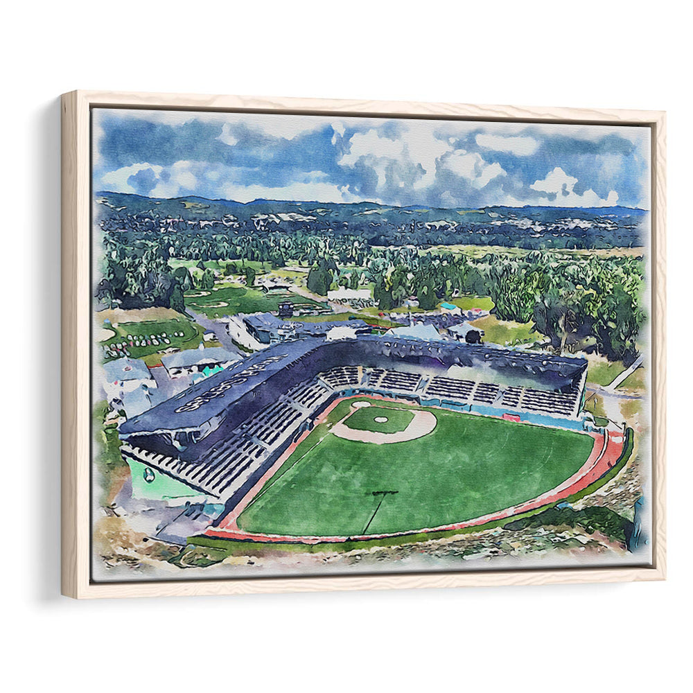 Howard J Lamade Painting Stadium Watercolor, Pennsylvania Baseball, Sport Gift Art, Framed Canvas Print Wall Art