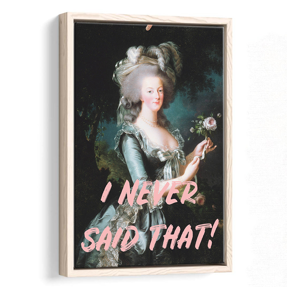 I Never Said that, Marie Antoinette Altered Art, Floating Framed Canvas Art Print,, Framed Canvas Prints Wall Art