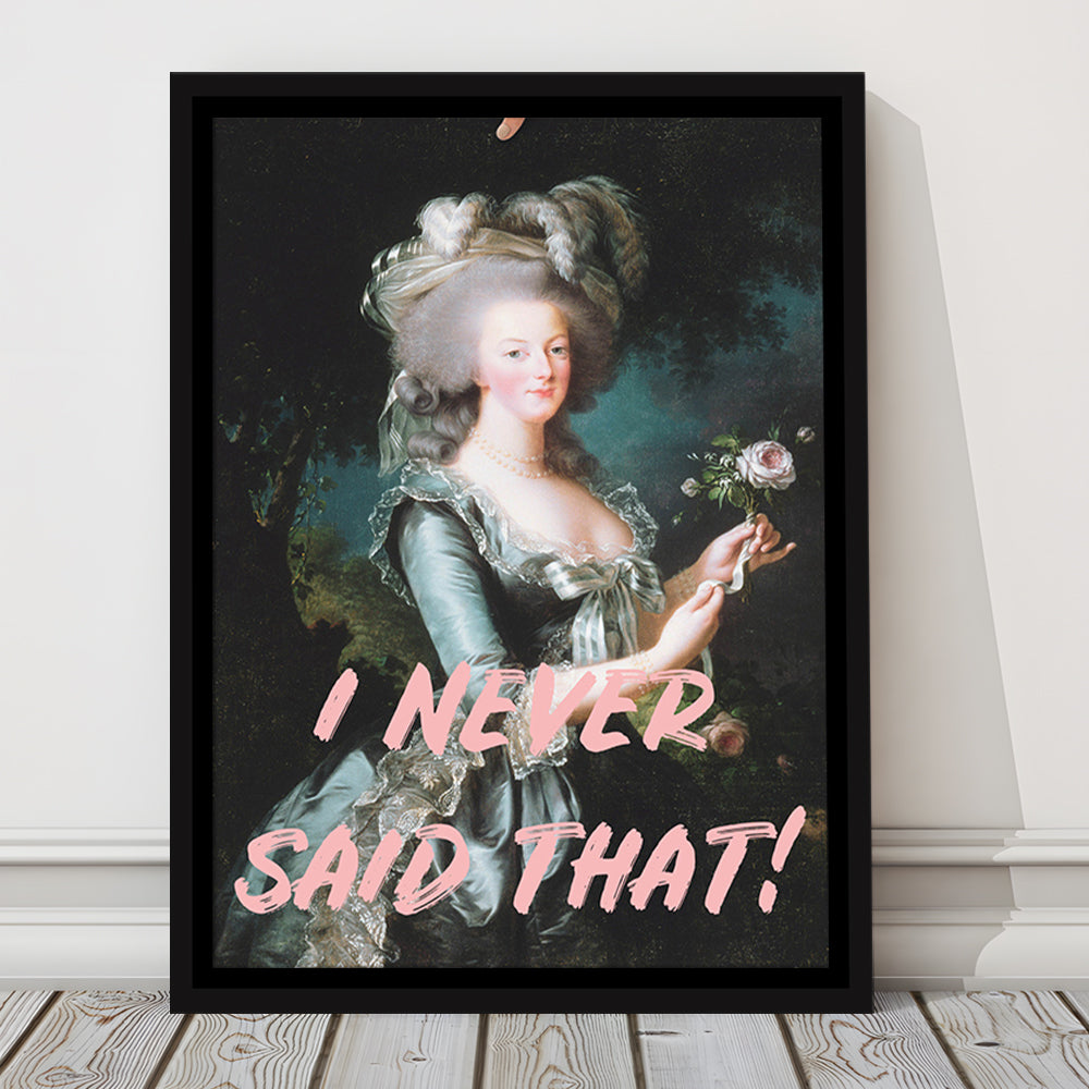I Never Said that, Marie Antoinette Altered Art, Floating Framed Canvas Art Print,, Framed Canvas Prints Wall Art