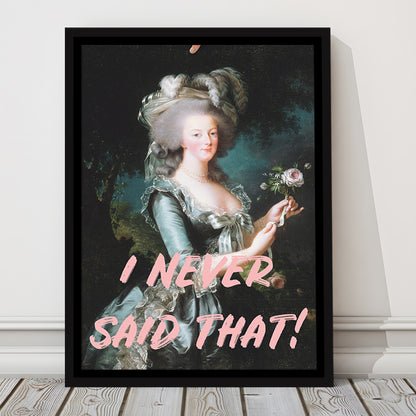 I Never Said that, Marie Antoinette Altered Art, Floating Framed Canvas Art Print,, Framed Canvas Prints Wall Art