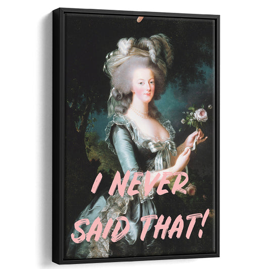 I Never Said that, Marie Antoinette Altered Art, Floating Framed Canvas Art Print,, Framed Canvas Prints Wall Art