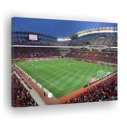 Ibaraki Kashima Stadium, Stadium Canvas, Sport Art, Gift for him, Man Cave Decor, Art Print, Canvas Print Wall Art