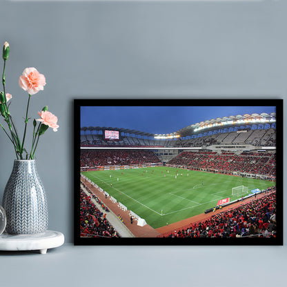 Ibaraki Kashima Stadium, Stadium Canvas, Sport Art, Gift for him, Framed Art Print Wall Decor, Picture Framed
