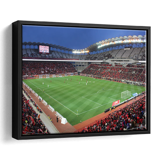 Ibaraki Kashima Stadium, Stadium Canvas, Sport Art, Framed Canvas Print Wall Art, Floating Frame