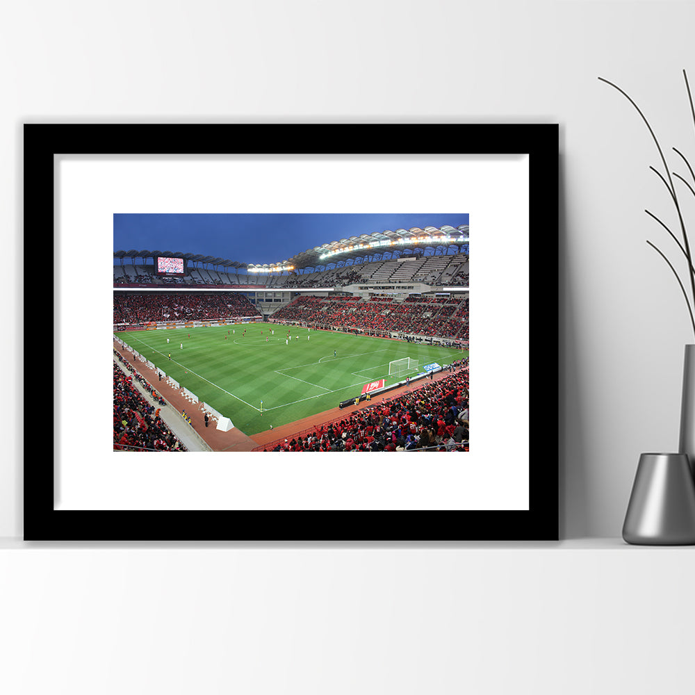 Ibaraki Kashima Stadium, Stadium Canvas, Sport Art, Gift for him, White Border Framed Art Print Wall Decor