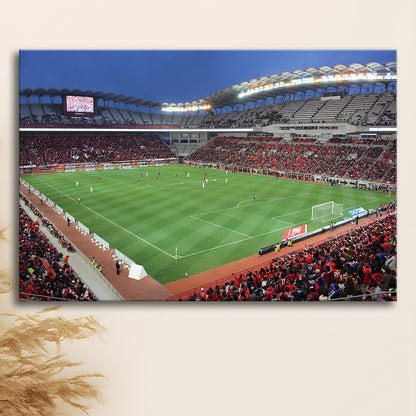Ibaraki Kashima Stadium, Stadium Canvas, Sport Art, Gift for him, Man Cave Decor, Art Print, Canvas Print Wall Art